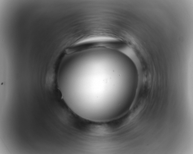 X0000088630548200706011146