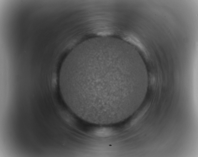 X0000088630549200706011146