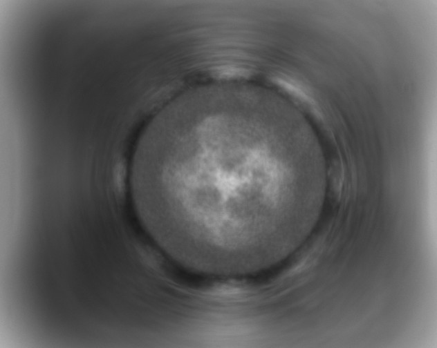 X0000088630550200706011146