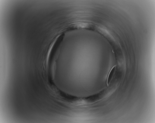 X0000088630551200706011146