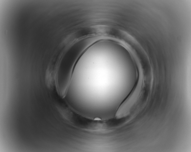 X0000088630552200706011146