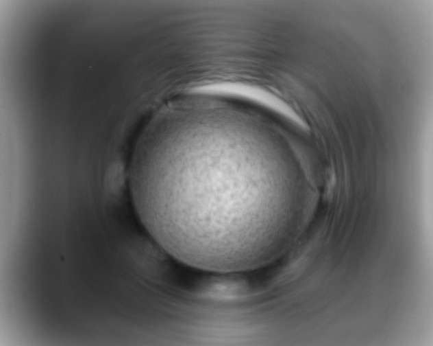 X0000088630555200706011146