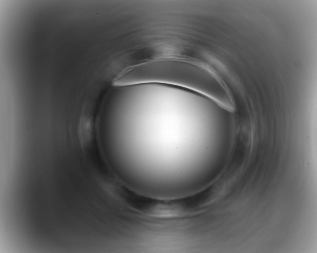 X0000088630556200706011146