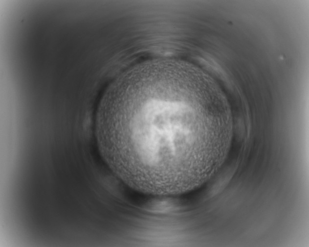 X0000088630557200706011146