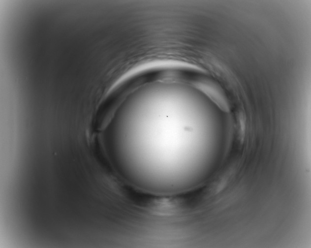 X0000088630558200706011146