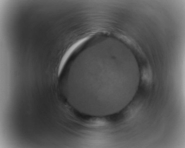 X0000088630559200706011146