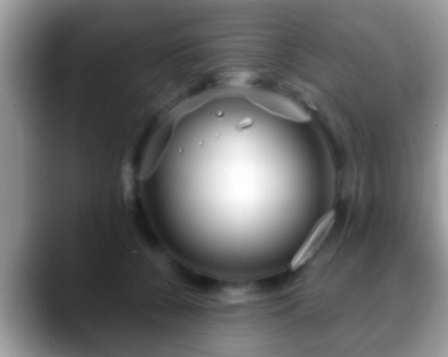 X0000088630560200706011146