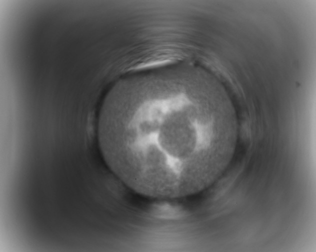 X0000088630561200706011146