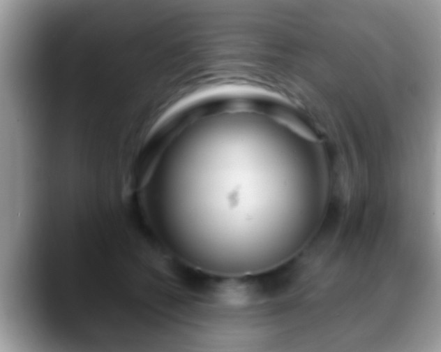 X0000088630562200706011146