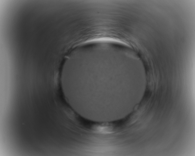 X0000088630563200706011146