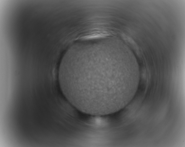 X0000088630565200706011146