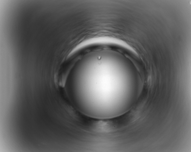 X0000088630566200706011147