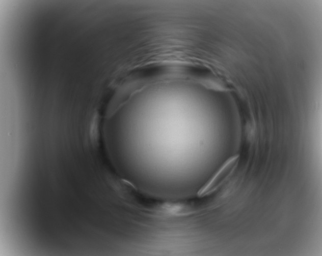 X0000088630570200706011147