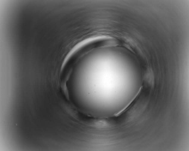 X0000088630572200706011147