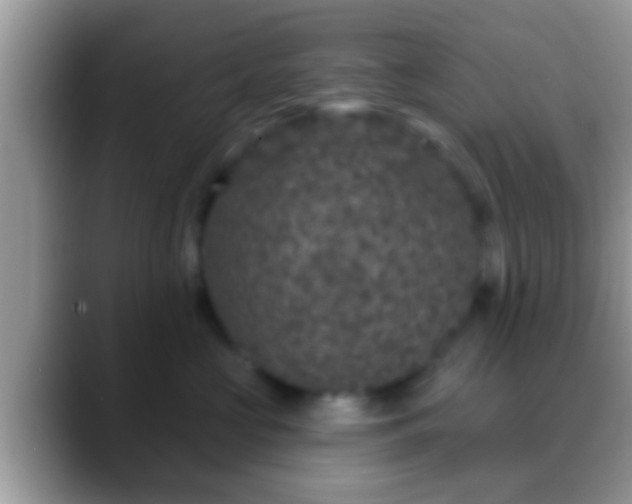 X0000088630573200706011147