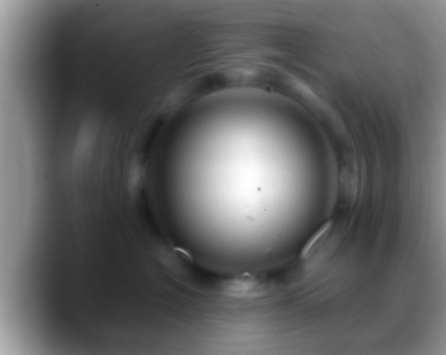 X0000088630574200706011147