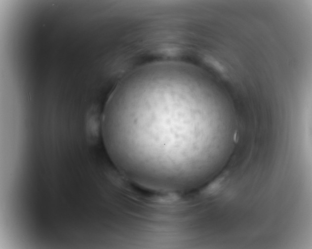 X0000088630576200706011147