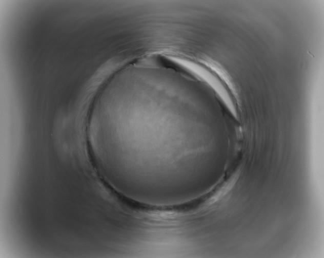 X0000088630577200706011146