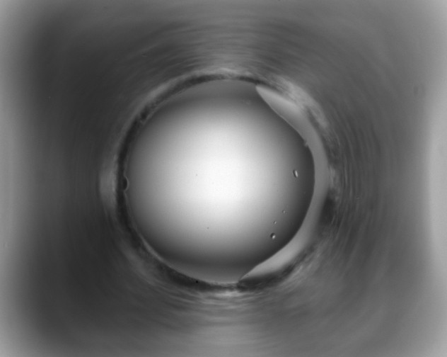 X0000088630580200706011146