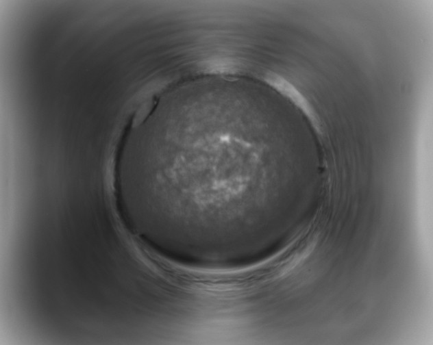 X0000088630581200706011146