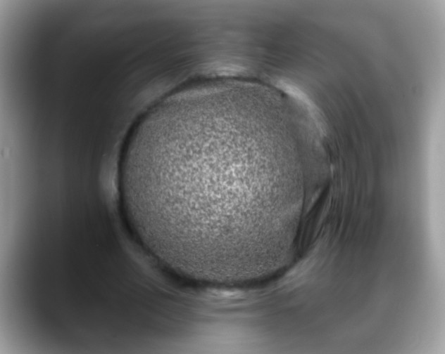 X0000088630582200706011146