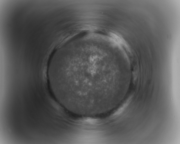 X0000088630585200706011146