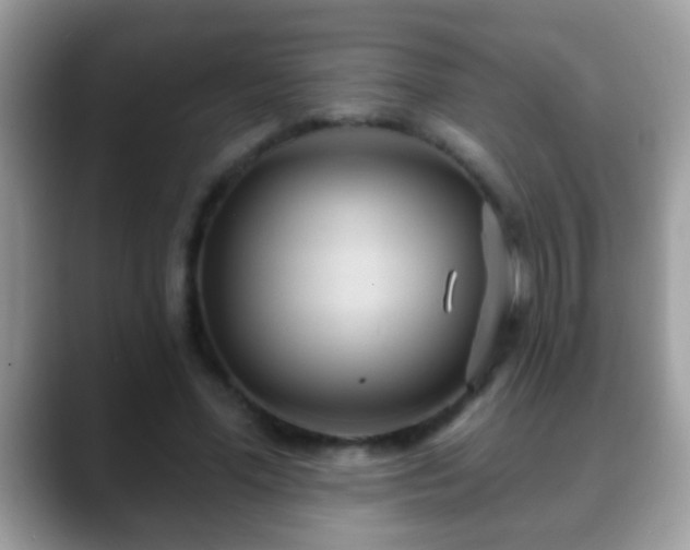 X0000088630588200706011146