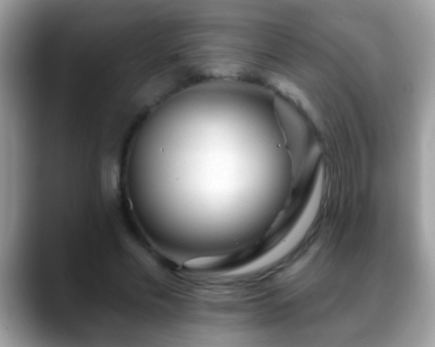 X0000088630589200706011146