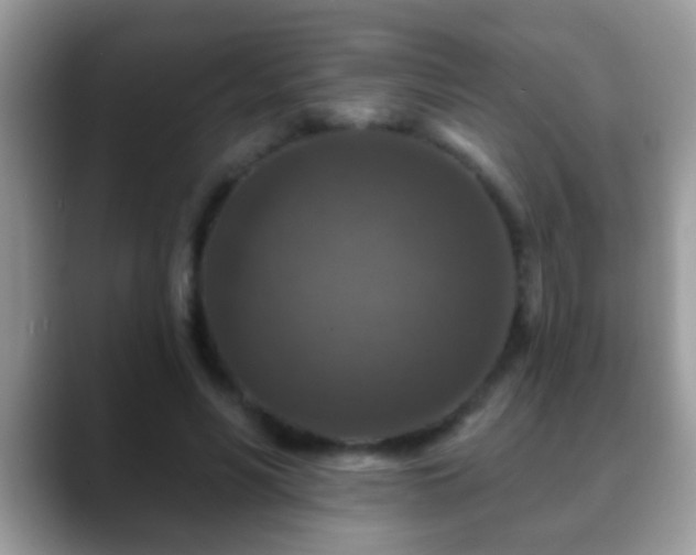 X0000088630590200706011146