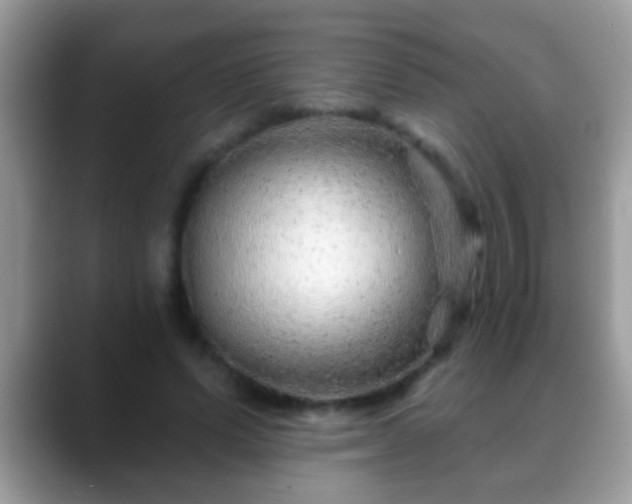 X0000088630591200706011146