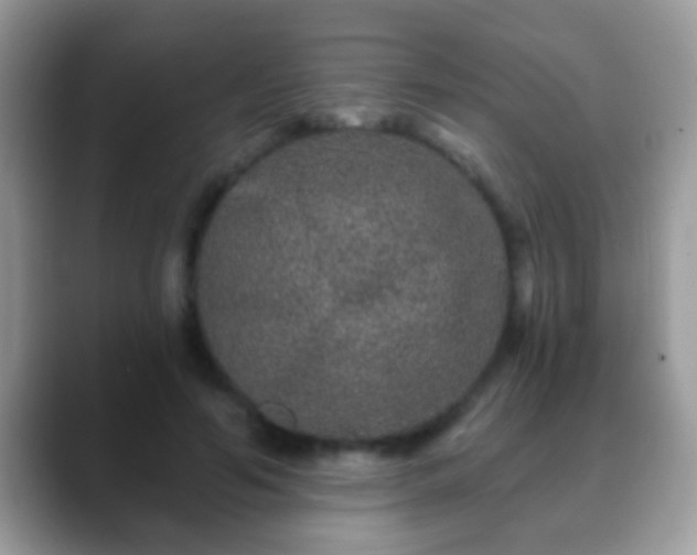 X0000088630594200706011146