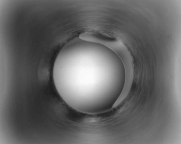 X0000088630595200706011146