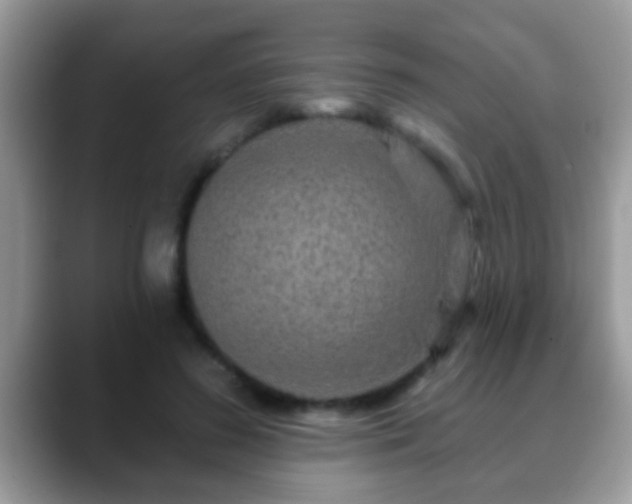 X0000088630596200706011146