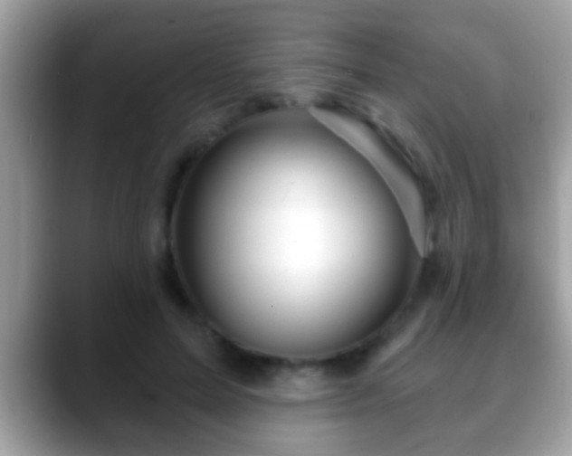 X0000088630599200706011146