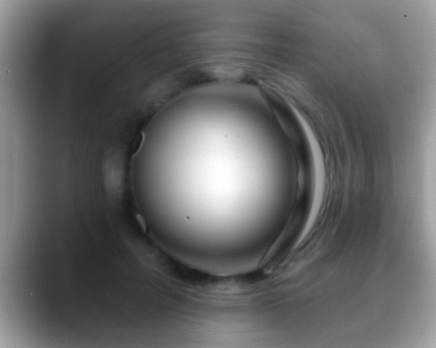 X0000088630600200706011146