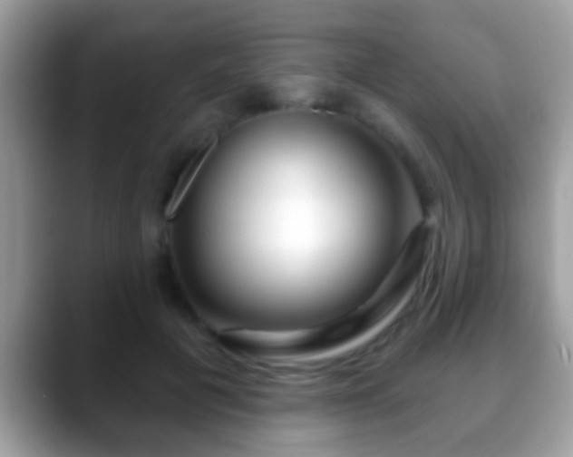 X0000088630601200706011146