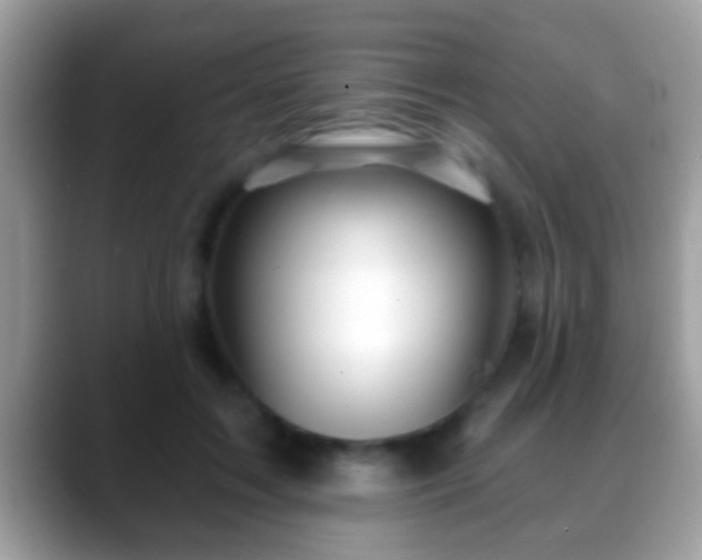 X0000088630603200706011146