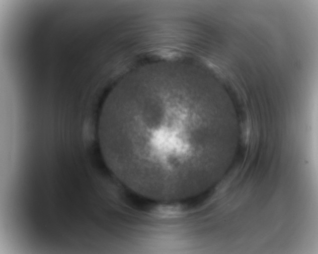 X0000088630606200706011146