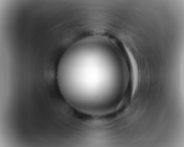 X0000088630608200706011146