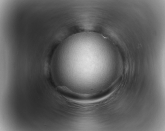 X0000088630609200706011146