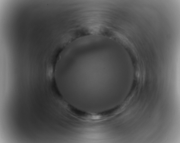 X0000088630610200706011146