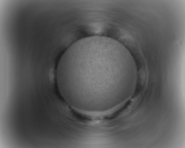 X0000088630612200706011146