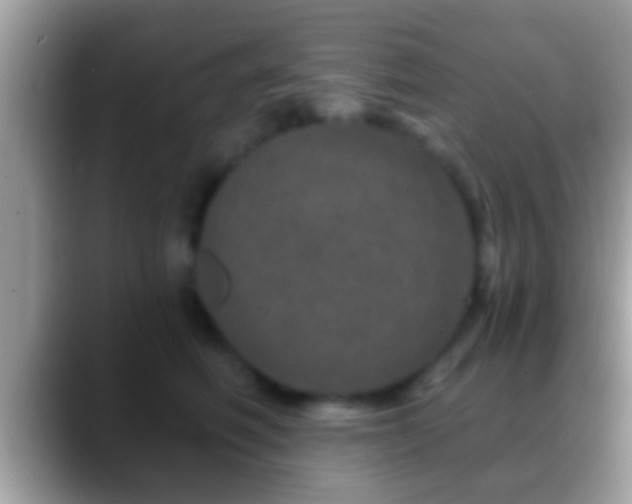 X0000088630614200706011146