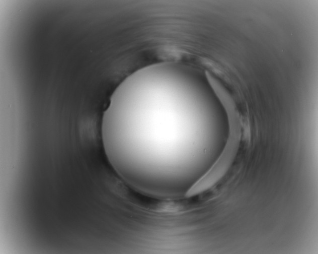 X0000088630616200706011146