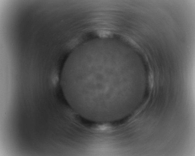 X0000088630618200706011146