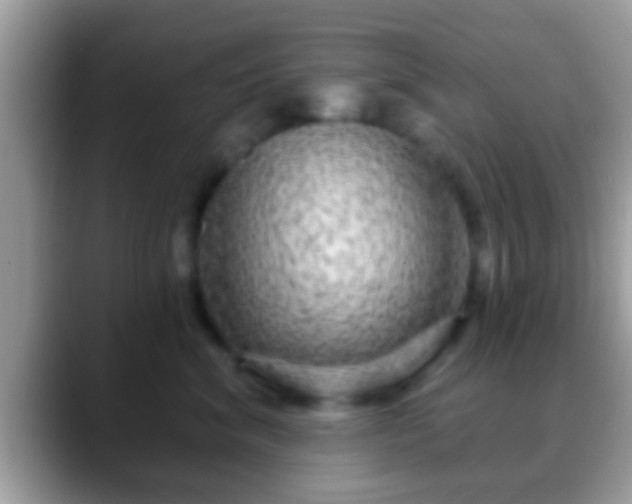 X0000088630620200706011146