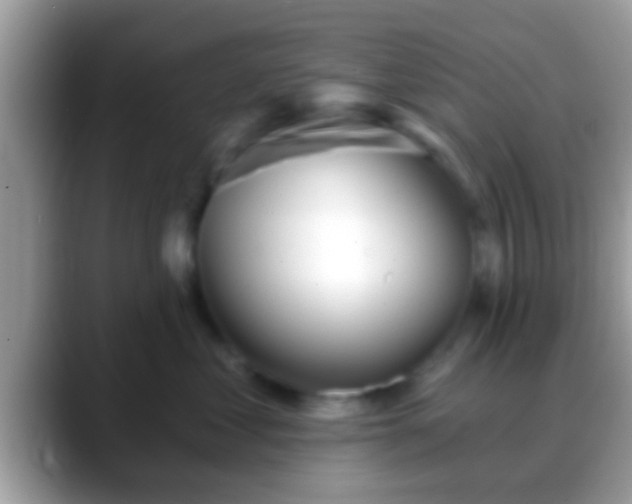 X0000088630621200706011146