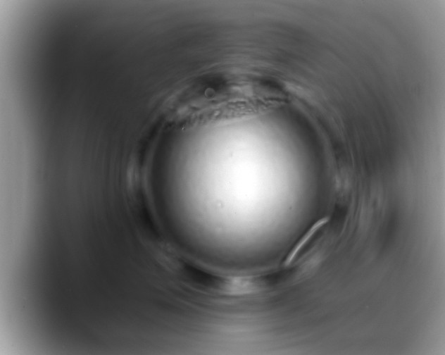 X0000088630623200706011146