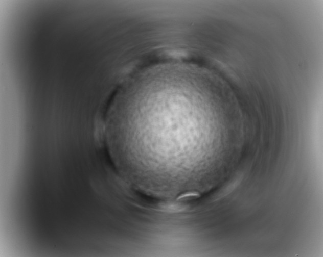 X0000088630624200706011146