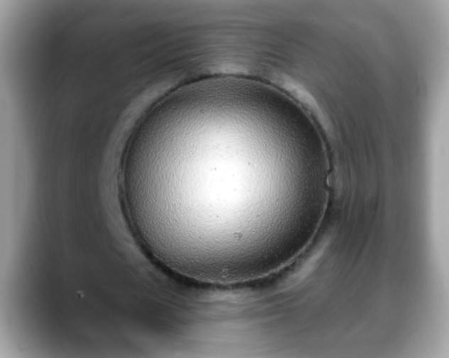 X0000088630625200706011145